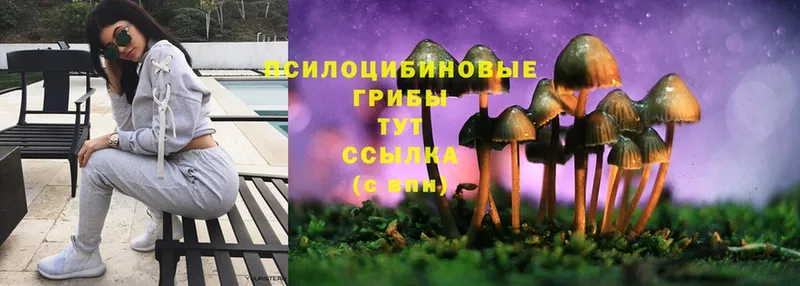 ссылка на мегу рабочий сайт  Ялта  Псилоцибиновые грибы Psilocybine cubensis 